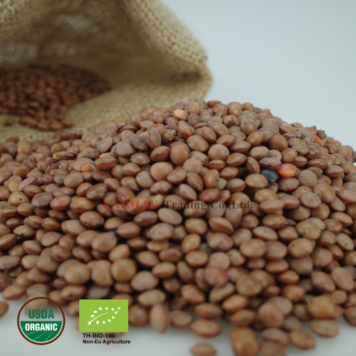 Lentil Brown, Organic (THB 210/Kg)