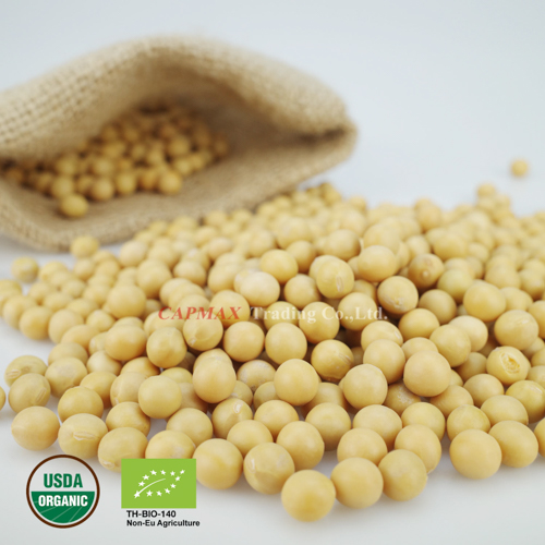 Soy bean, Organic (THB 140/Kg)