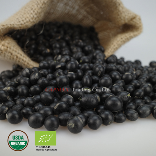 Black Bean, Organic (THB 160/Kg)