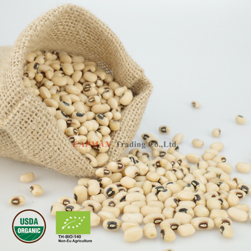 Black eye bean, Organic (THB 180/Kg)