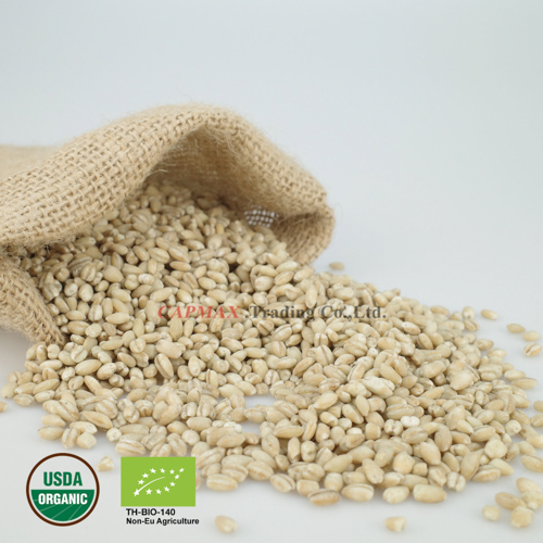 Pearl Barley, Organic (THB 170/Kg)