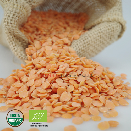 Lentil Red, Organic (THB 210/Kg)