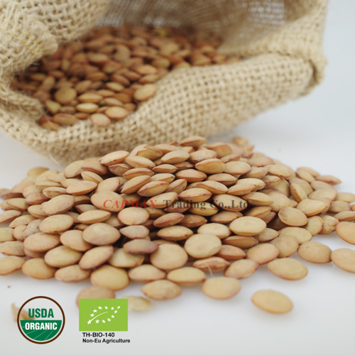 Green Lentil, Organic (THB 175 /Kg)