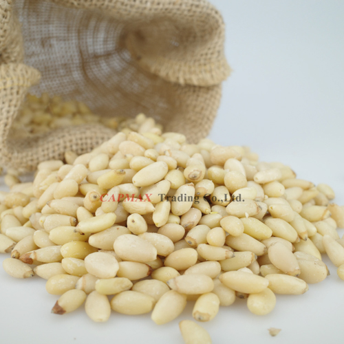 Pine Nut (THB 2000/Kg)